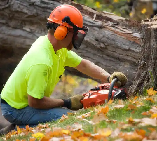 tree services West Unity